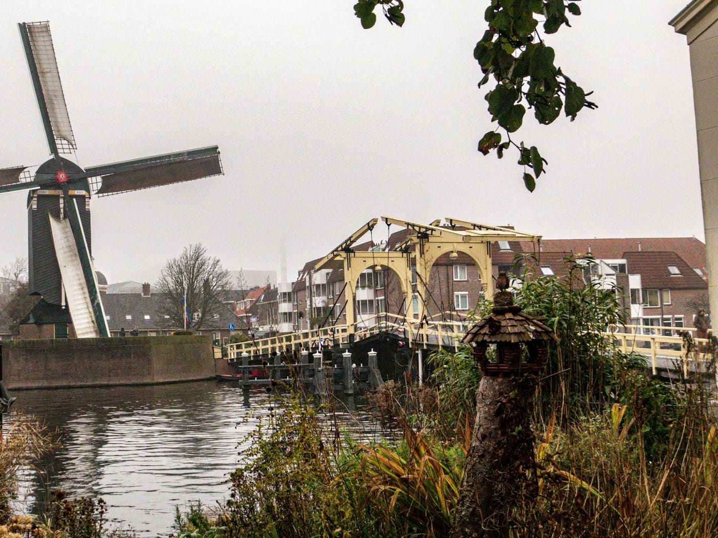 Molen en riet langs het water in Leiden