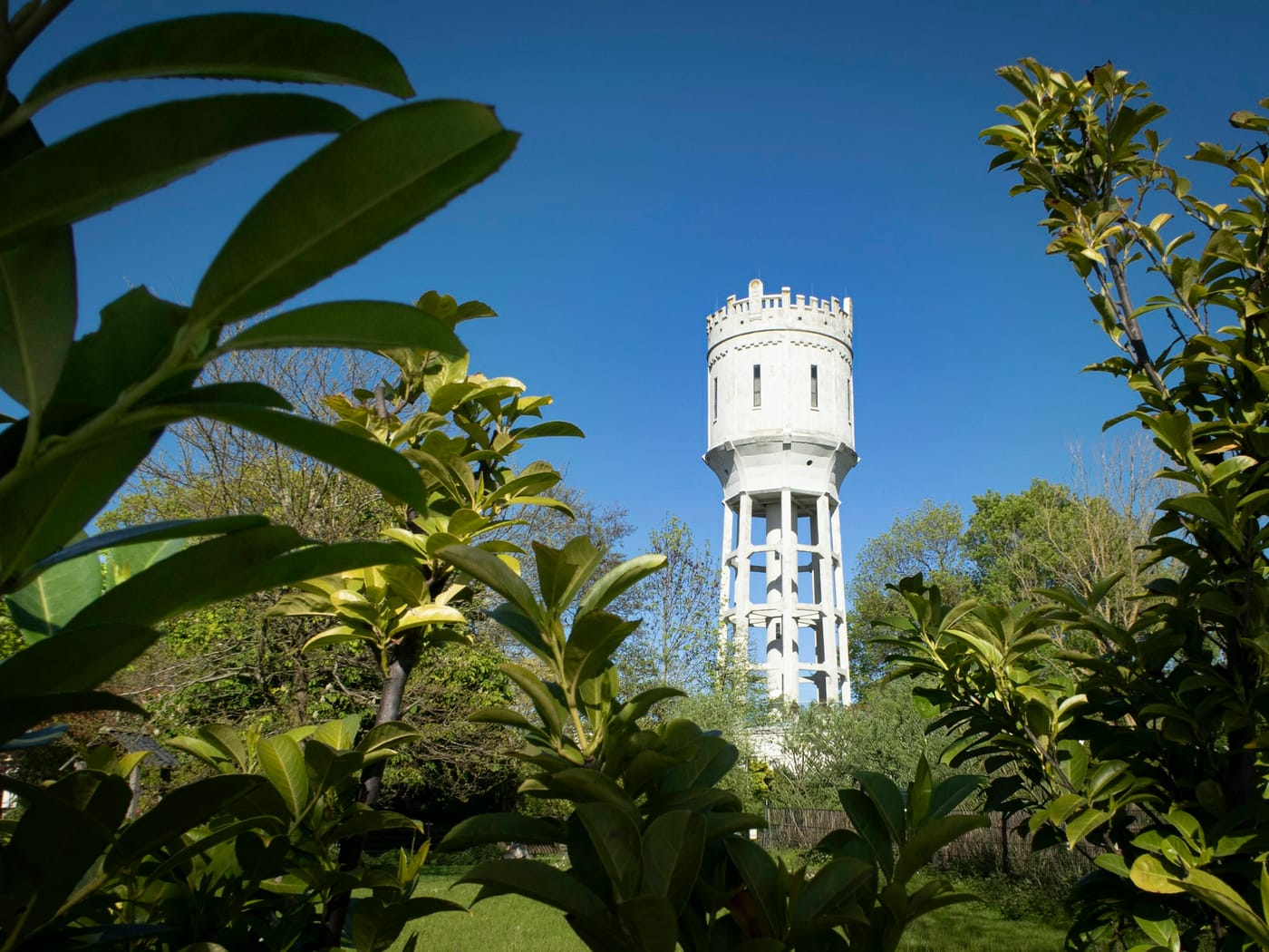 De watertoren van Rijswijk tussen het groen